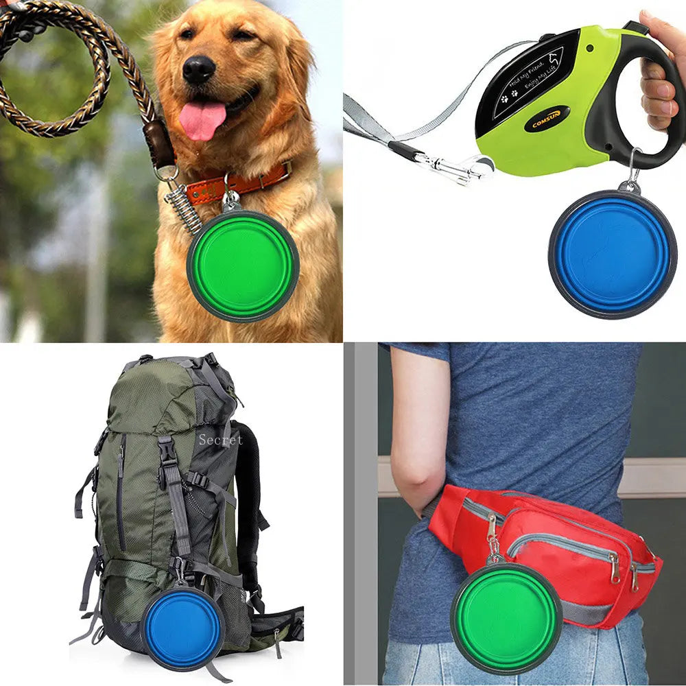 Ciotola Portatile in Silicone per Cani